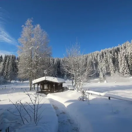 דירה Gaestehaus Seewald- 7 